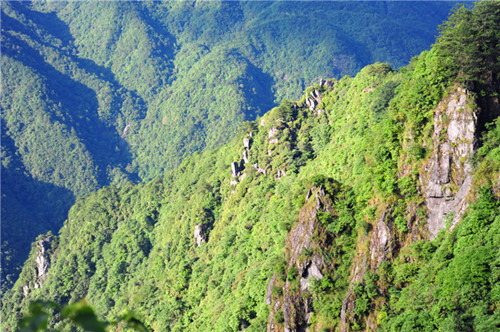 湖南陽明山國家森林公園