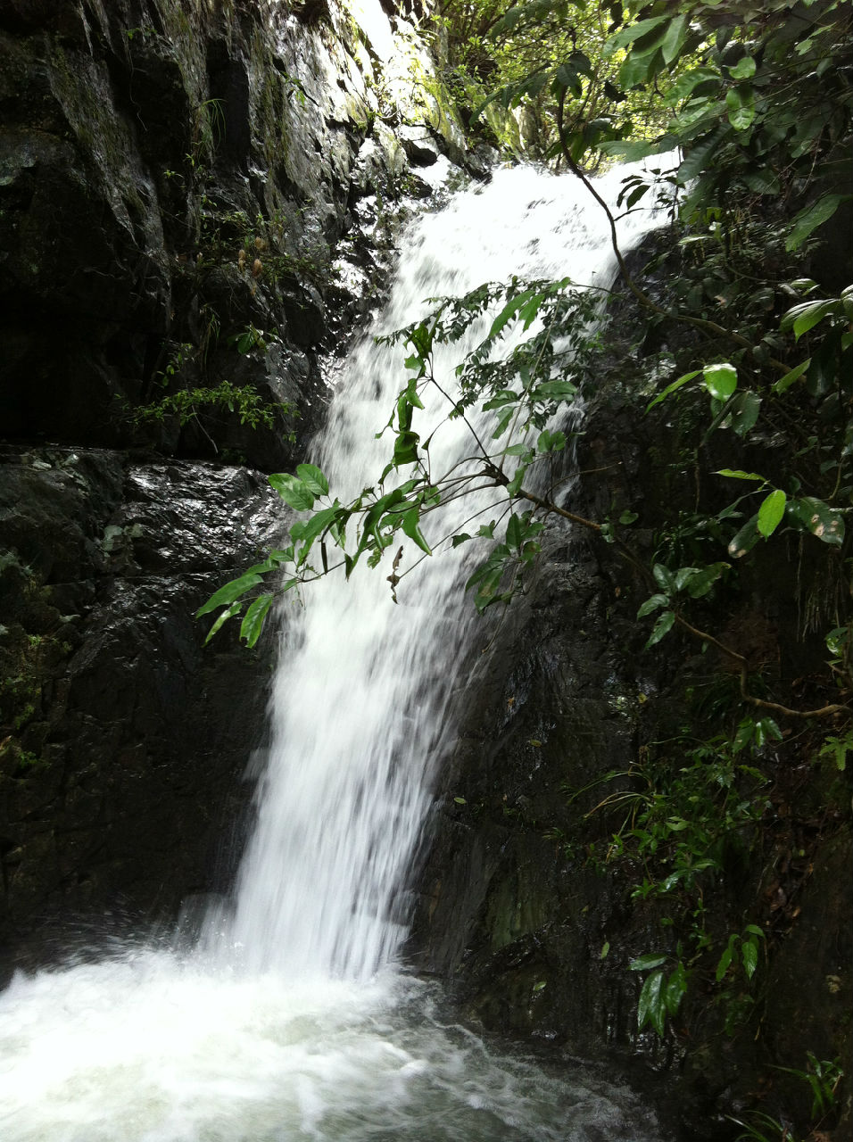 後坊村