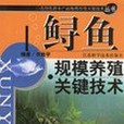 鱘魚規模養殖關鍵技術