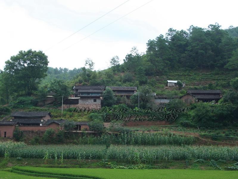 半箐村(雲南省普洱市寧洱鎮半箐村)