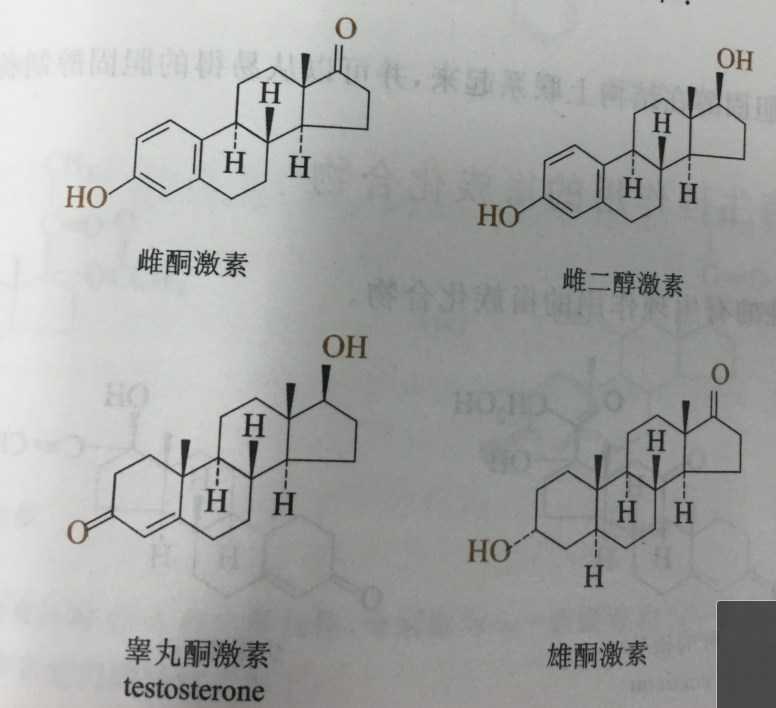 相關性激素結構