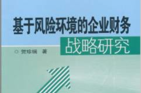 基於風險環境的企業財務戰略研究