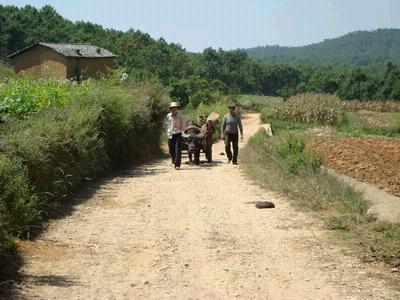 進村道路