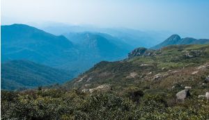 台山第一峰獅子頭