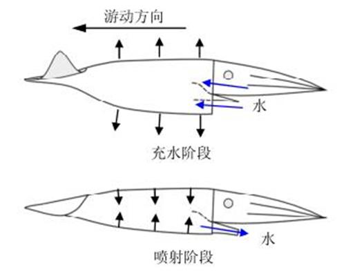 噴射推進器