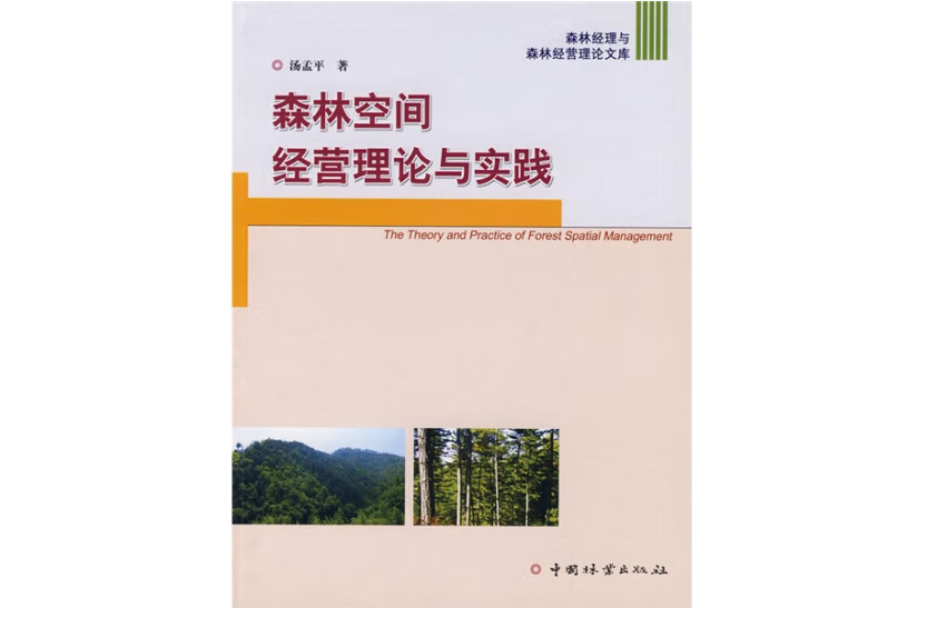 森林空間經營理論與實踐(2006年中國林業出版社出版的圖書)