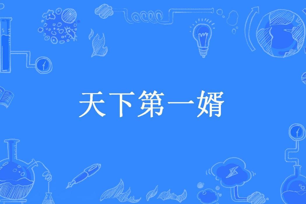 天下第一婿(小宇宙所著小說)