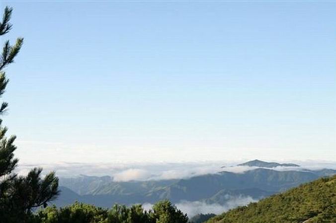 鳳陽山-百山祖國家級自然保護區