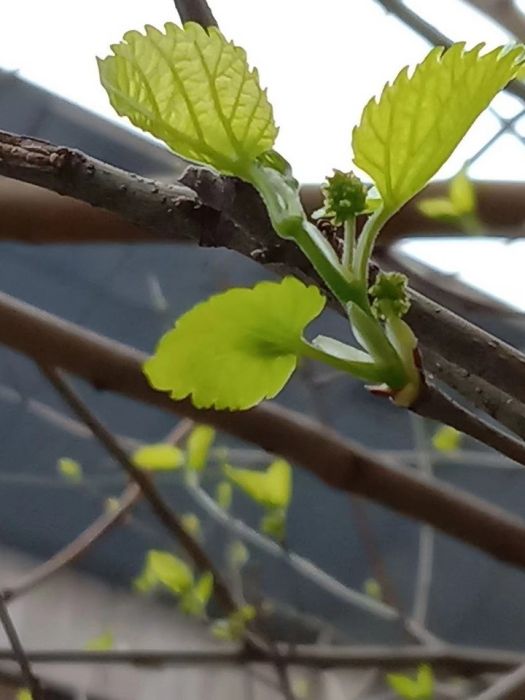 花里胡哨小照片，嘻嘻