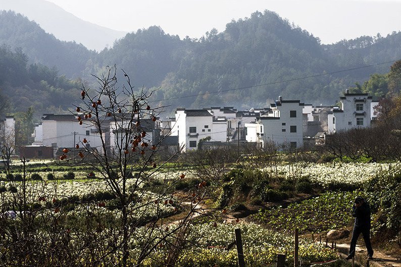 歙縣上豐花果山村落生態旅遊區