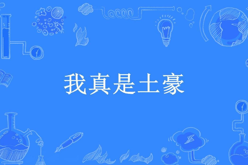 我真是土豪(星術師所著小說)