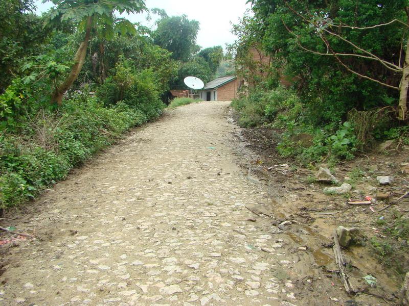 進村道路