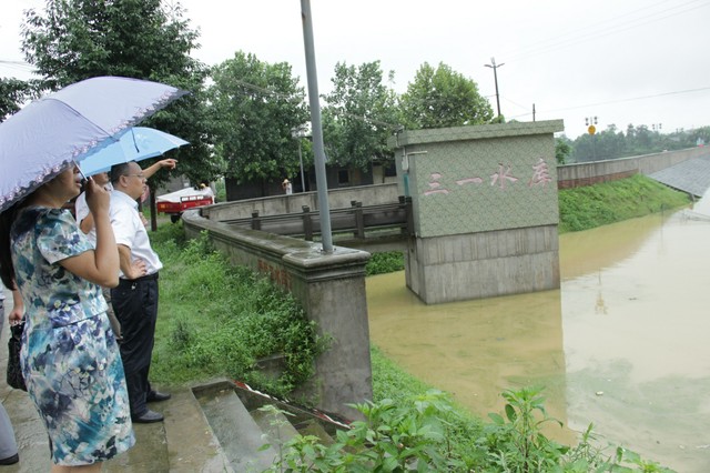 三一村(四川省成都市邛崍市寶林鎮下轄村)