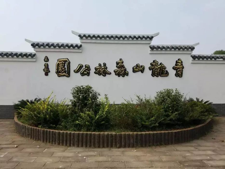 顧家店青龍山森林公園