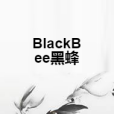 BlackBee黑蜂