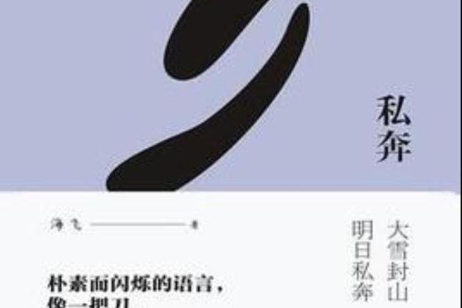 私奔(海飛所著小說)