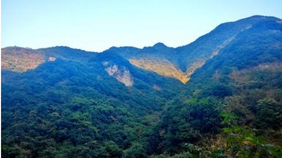 龍母山