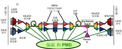 偏振模色散和偏振相關損耗