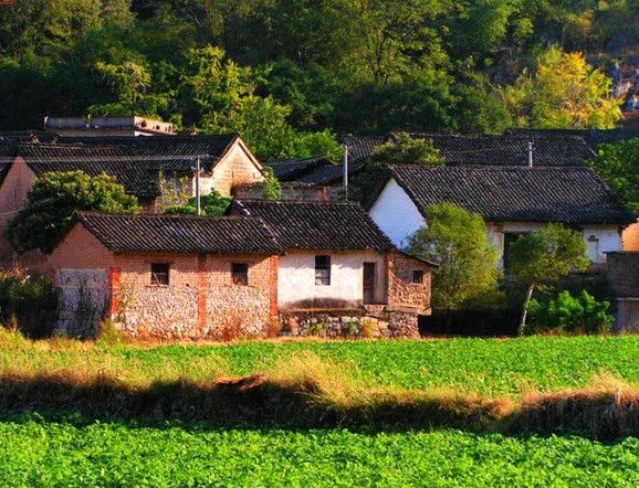 白鴿洞村