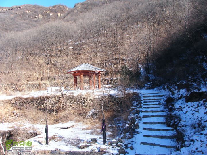 坡頭村(雲南省紅河建水縣坡頭鄉坡頭村)