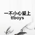 一不小心愛上tfboys