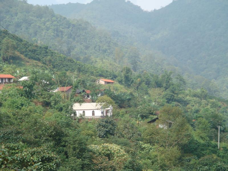 山後自然村(雲南紅河屏邊縣和平鄉咪崩龍村委山後自然村)