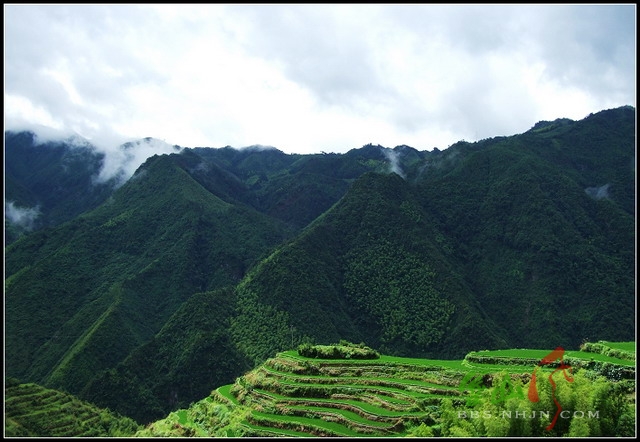 小佐村