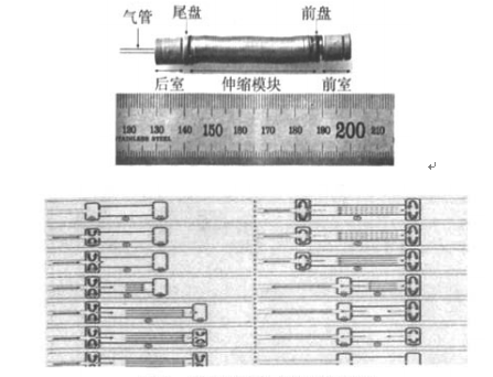 血管機器人