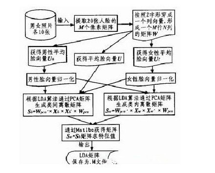 平均臉 計算方法