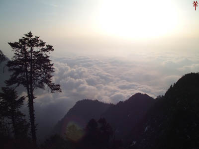 湖南雙峰縣九峰山森林公園