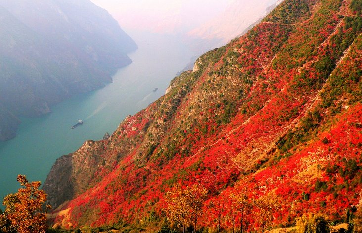 長江三峽國際紅葉節