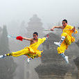 kungfu