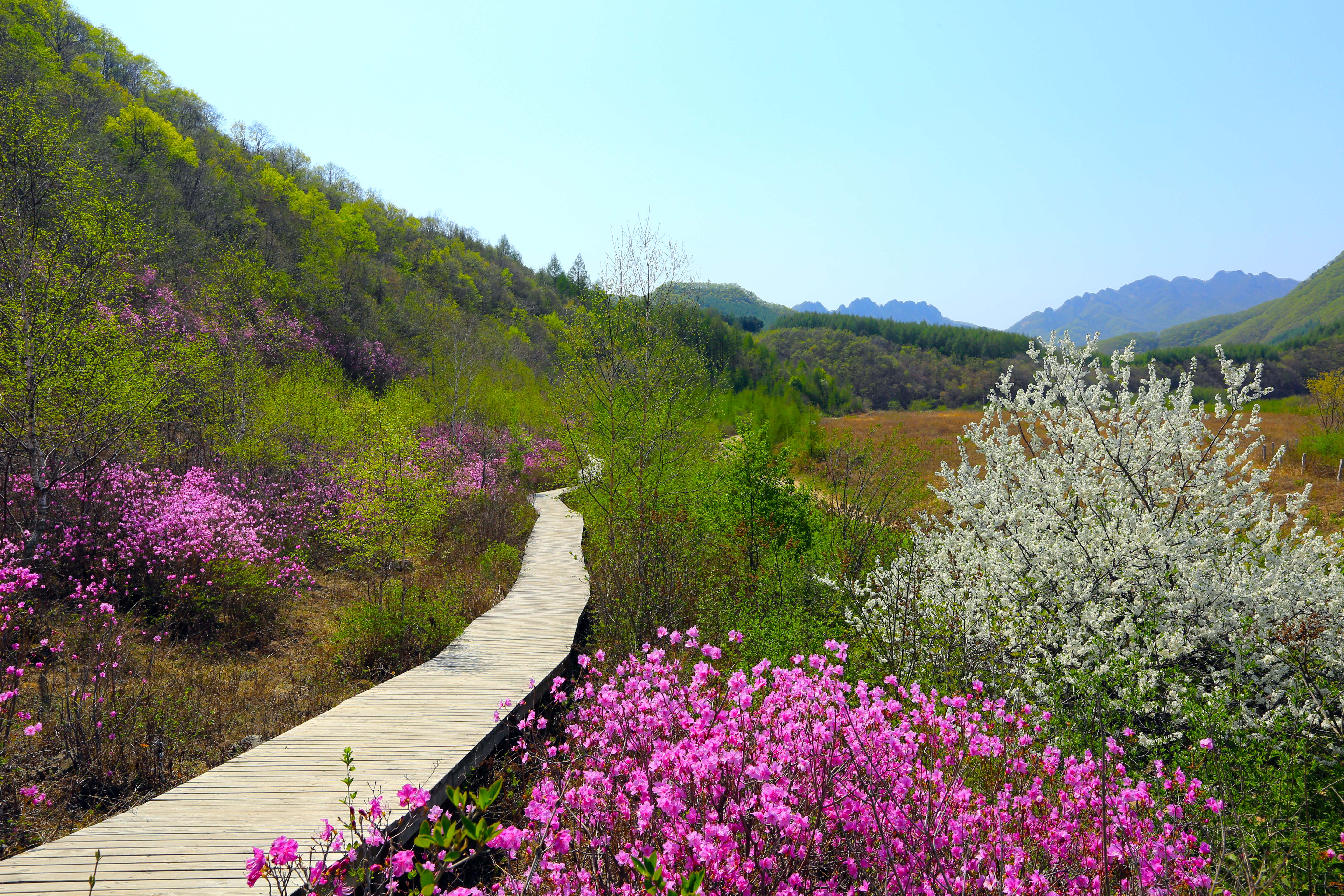 本溪花溪沐楓雪溫泉旅遊度假區