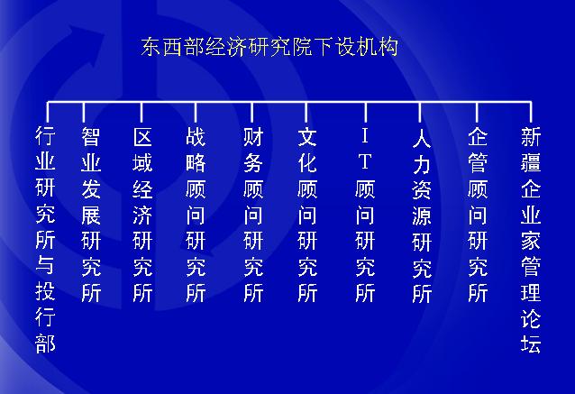 新疆東西部經濟研究院