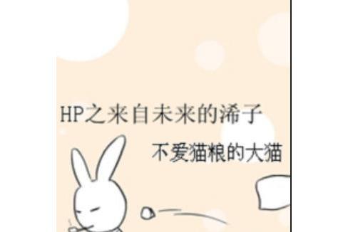 HP之來自未來的浠子