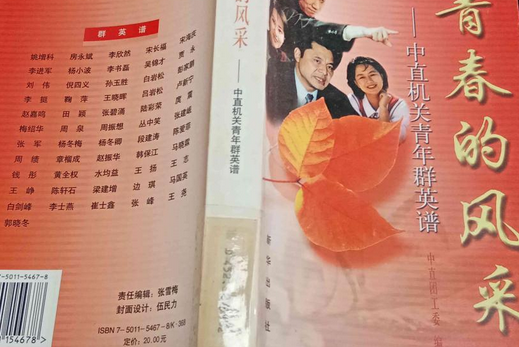 青春的風采(2001年新華出版社出版的圖書)