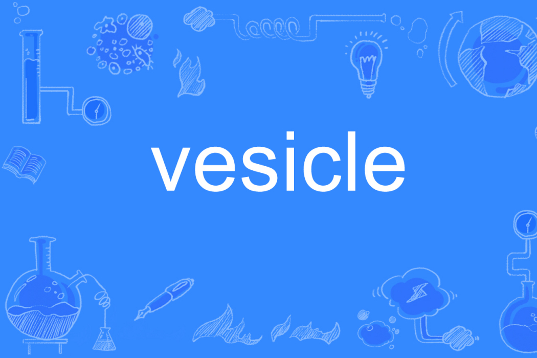 vesicle