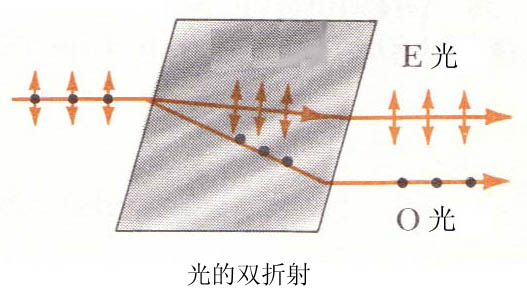 偏振射束分離器