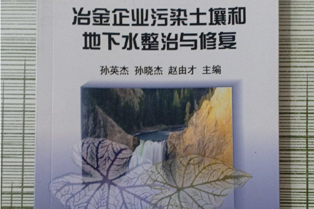 冶金企業受污染土壤和地下水整治與修復