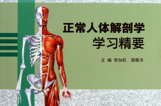 人體解剖學學習精要