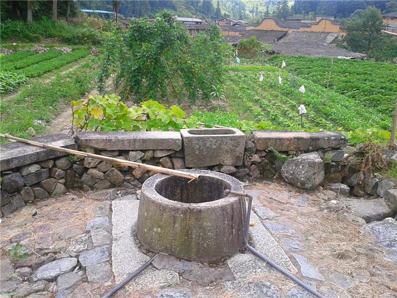 前洋村(福建省仙遊縣西苑鄉下轄村)