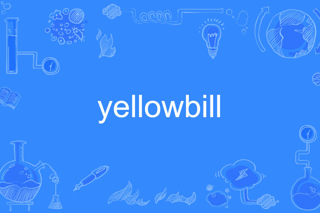 yellowbill