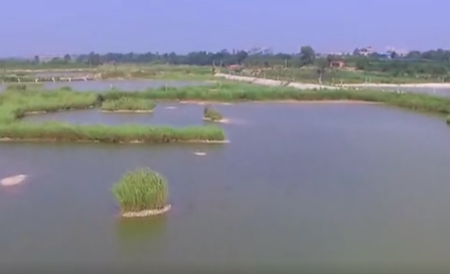 陝西涇陽涇河國家濕地公園