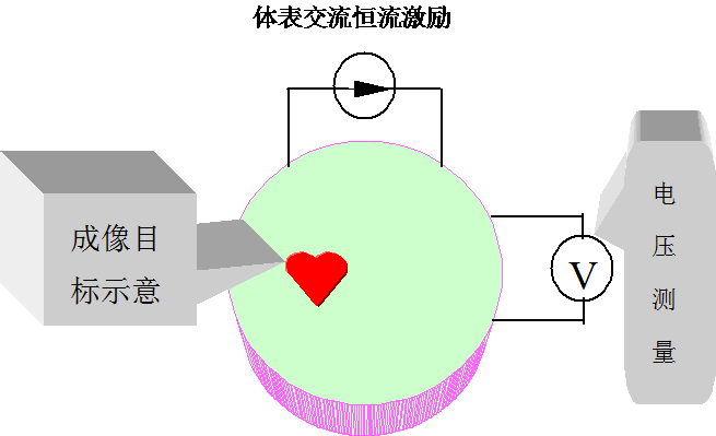 生物電阻抗成像檢測技術