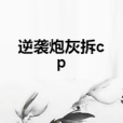 逆襲炮灰拆cp