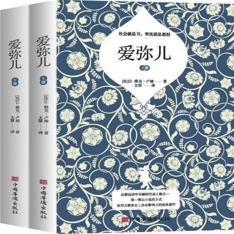 愛彌兒(2020年中國華僑出版社出版的圖書)