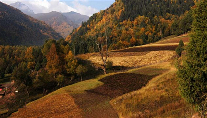 北山森林公園