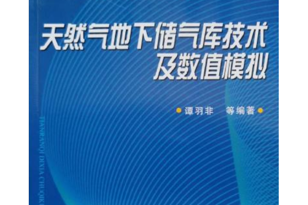 天然氣地下儲氣庫技術及數值模擬(2007年石油工業出版社出版的圖書)