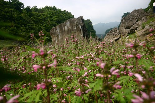 衡山國家森林公園