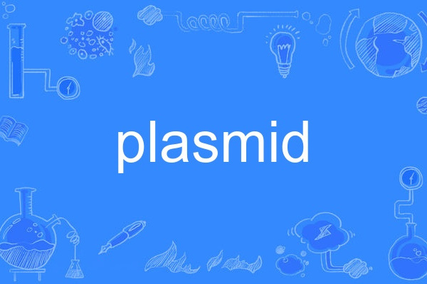 plasmid